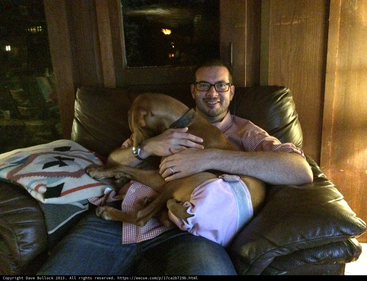 Relaxing with Man's Best Friend