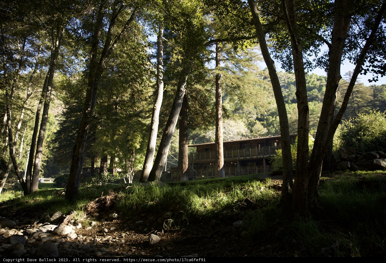 Forest Haven: The Serene Cabin in Big Sur