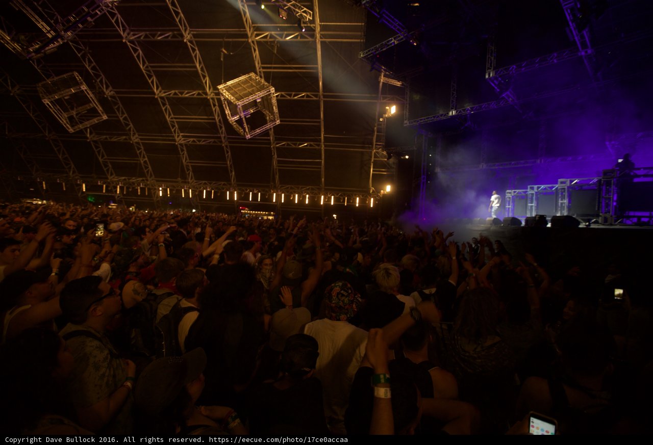 Purple Haze at Coachella