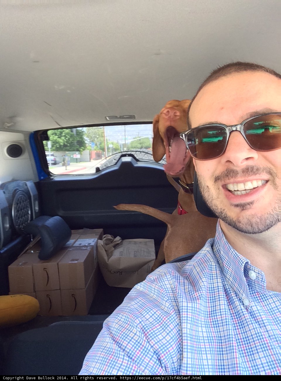 Cruising with My Canine Companion