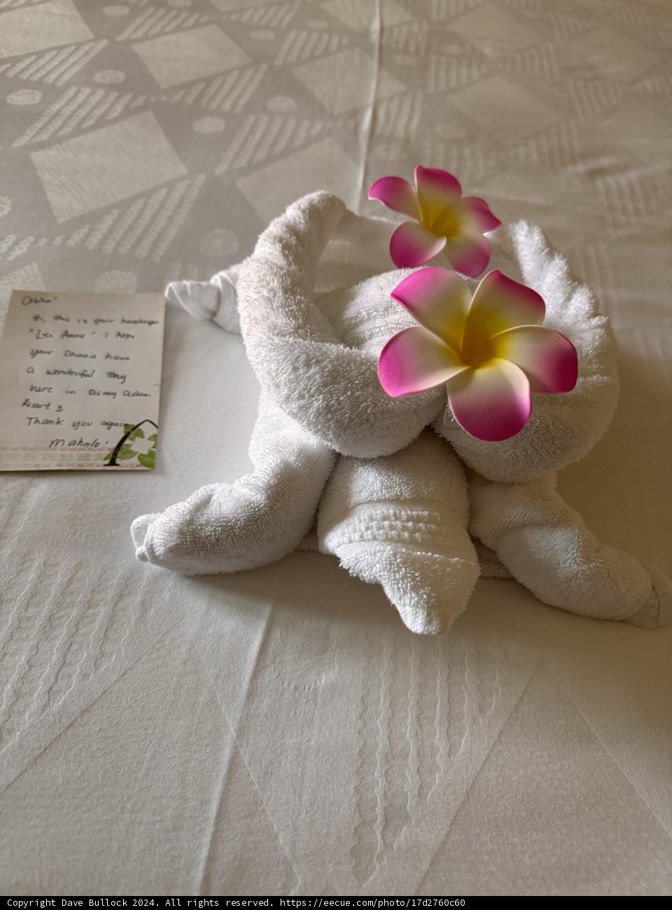Hawaiian Welcome at Aulani