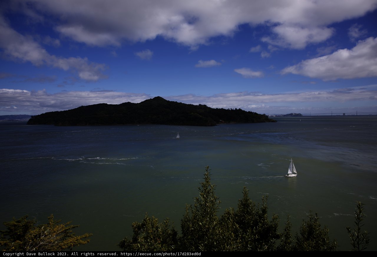 Sailing Adventure in Tiburon