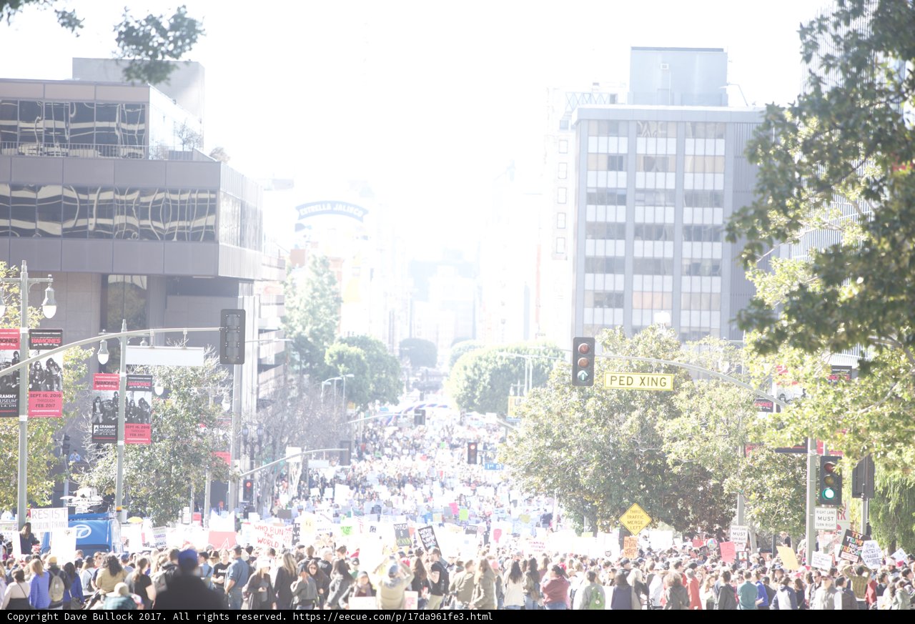 Women's March on Los Angeles