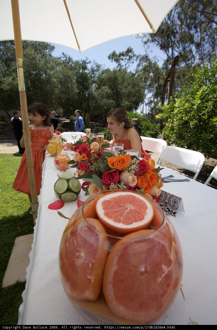 Fruit Feast
