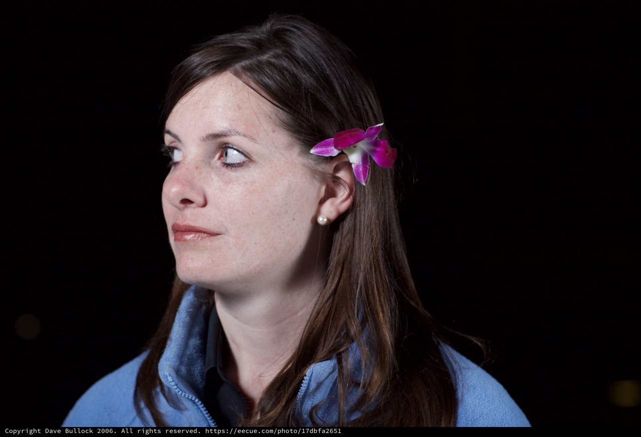 Woman with Orchid in Hair Against Dark Background