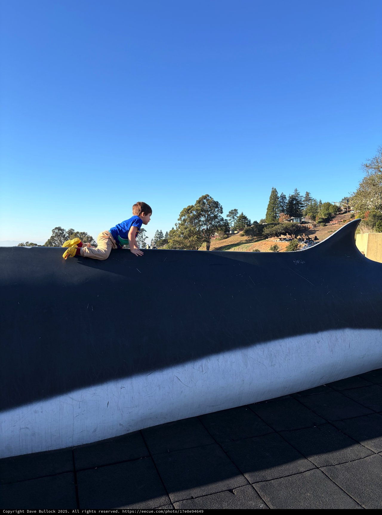Young Boy Climbing on Curved Skate Ramp at Dusk