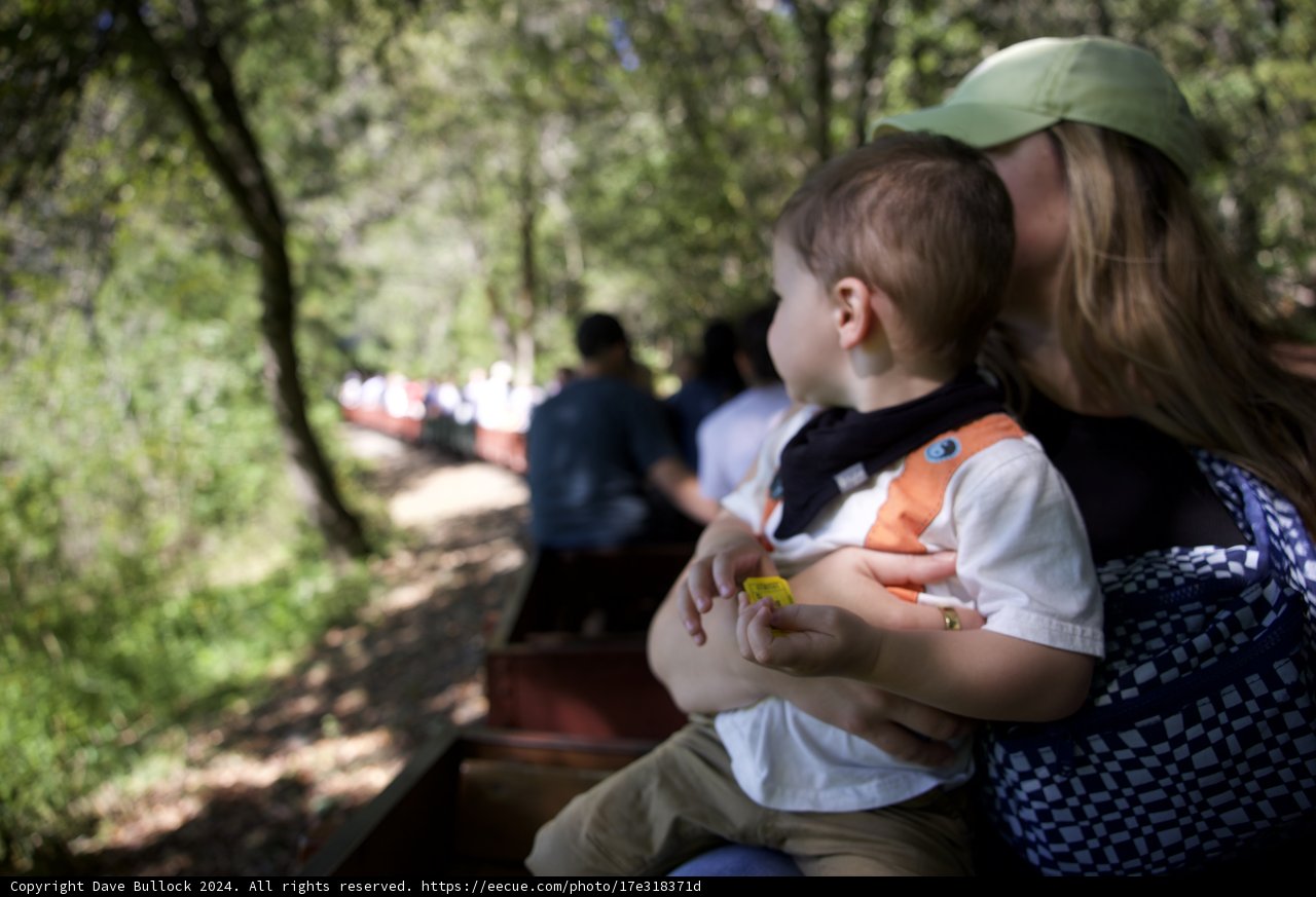 Cherished Moments on the Tilden Train Ride