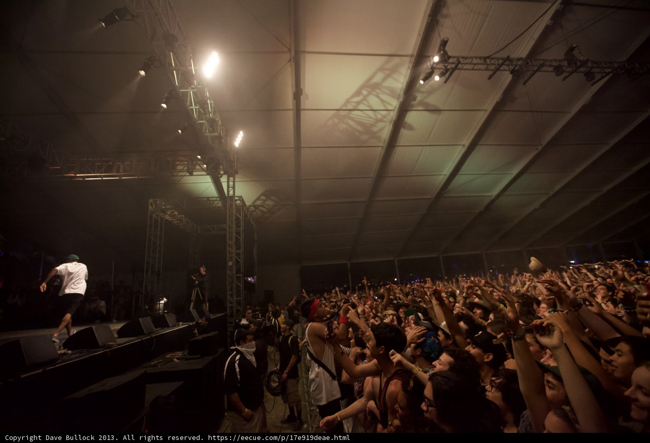 Coachella Nightlife: The Electric Crowd