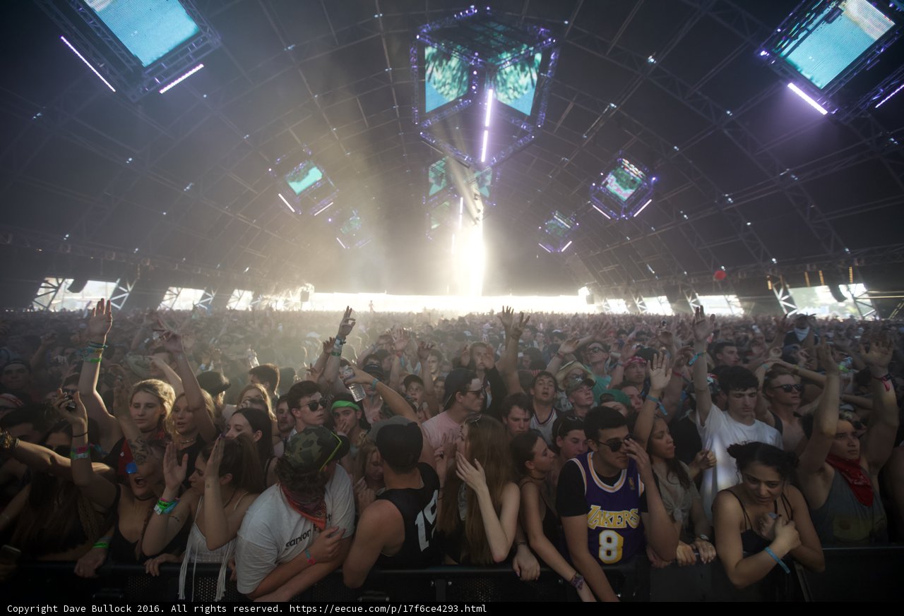 A Thrilling Crowd at Coachella