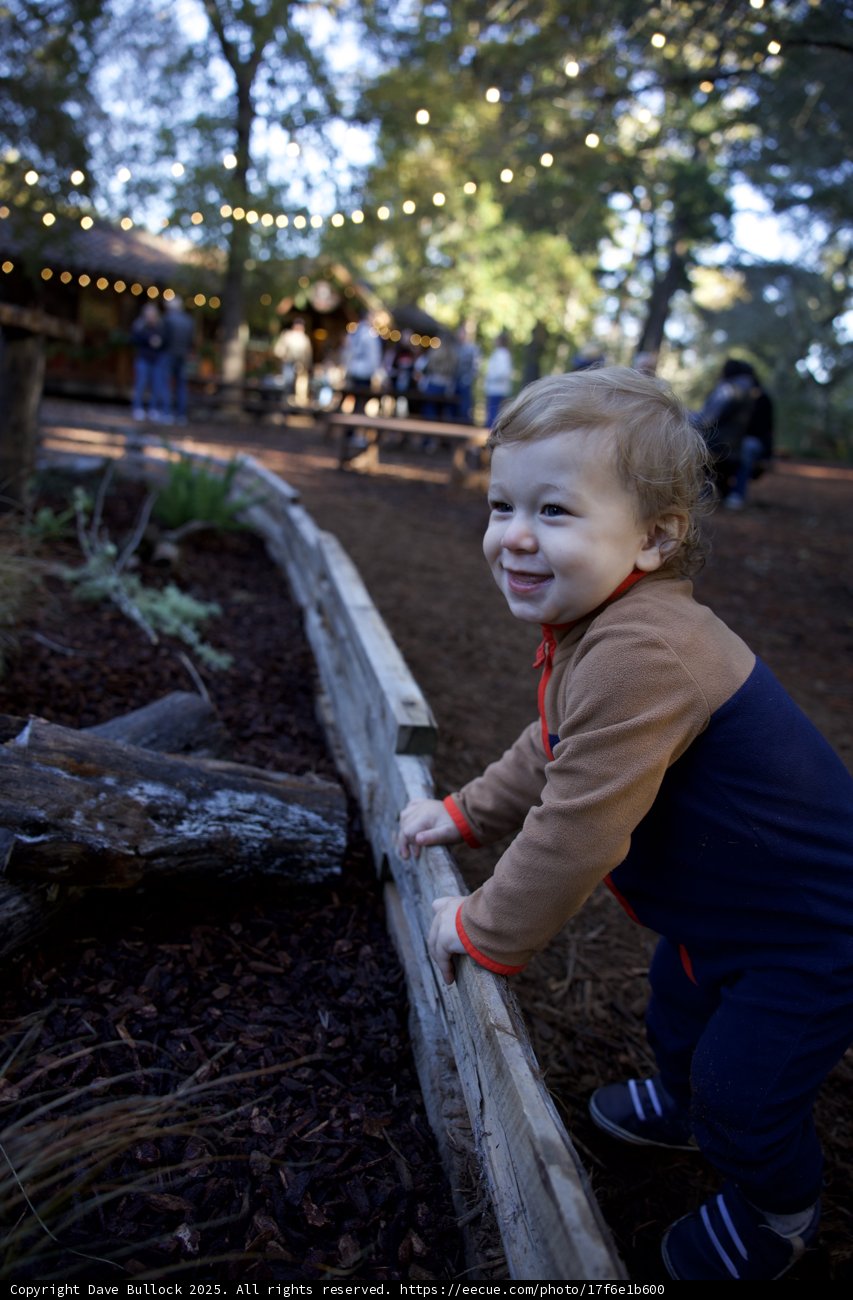 Joyful Explorations at Thistlewyck