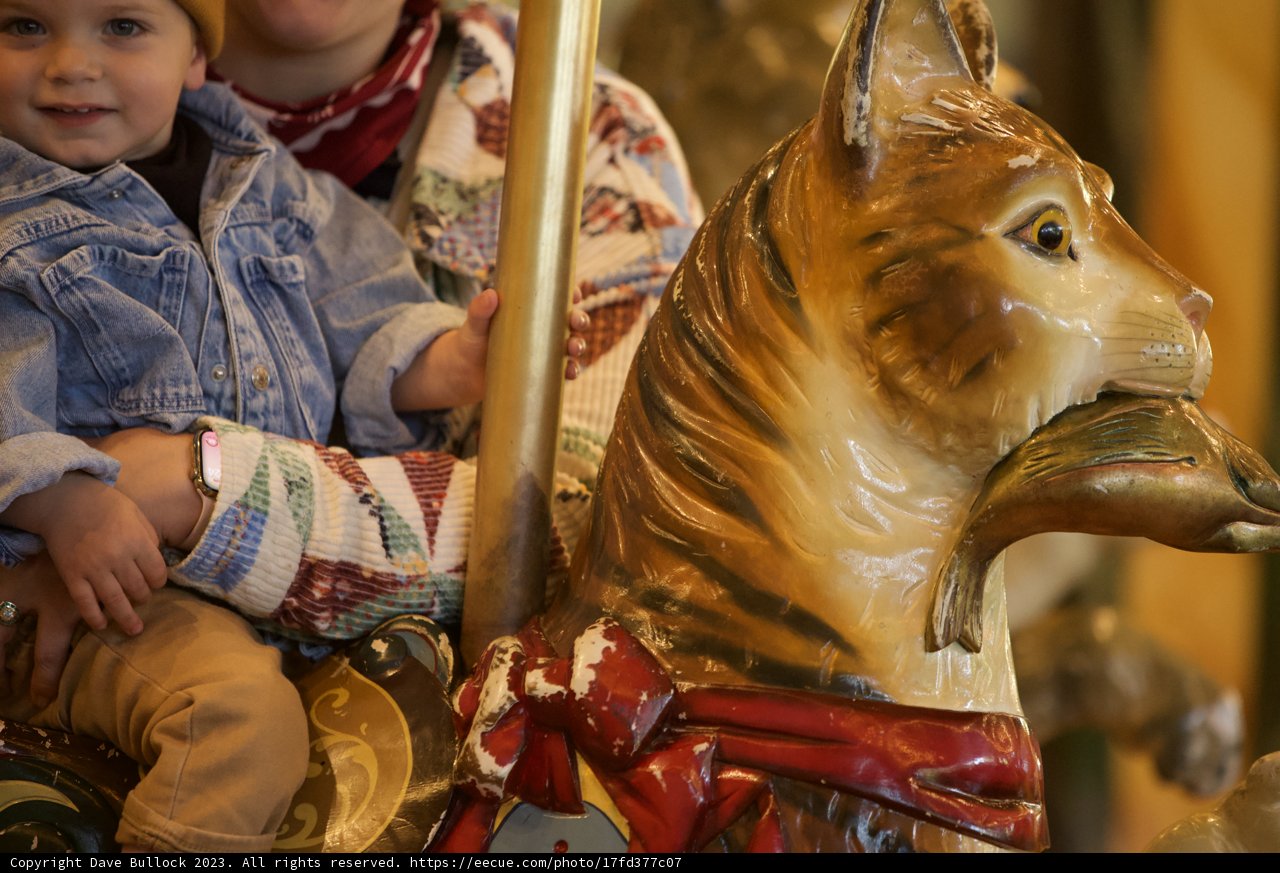 A Magnificent Carousel Adventure
