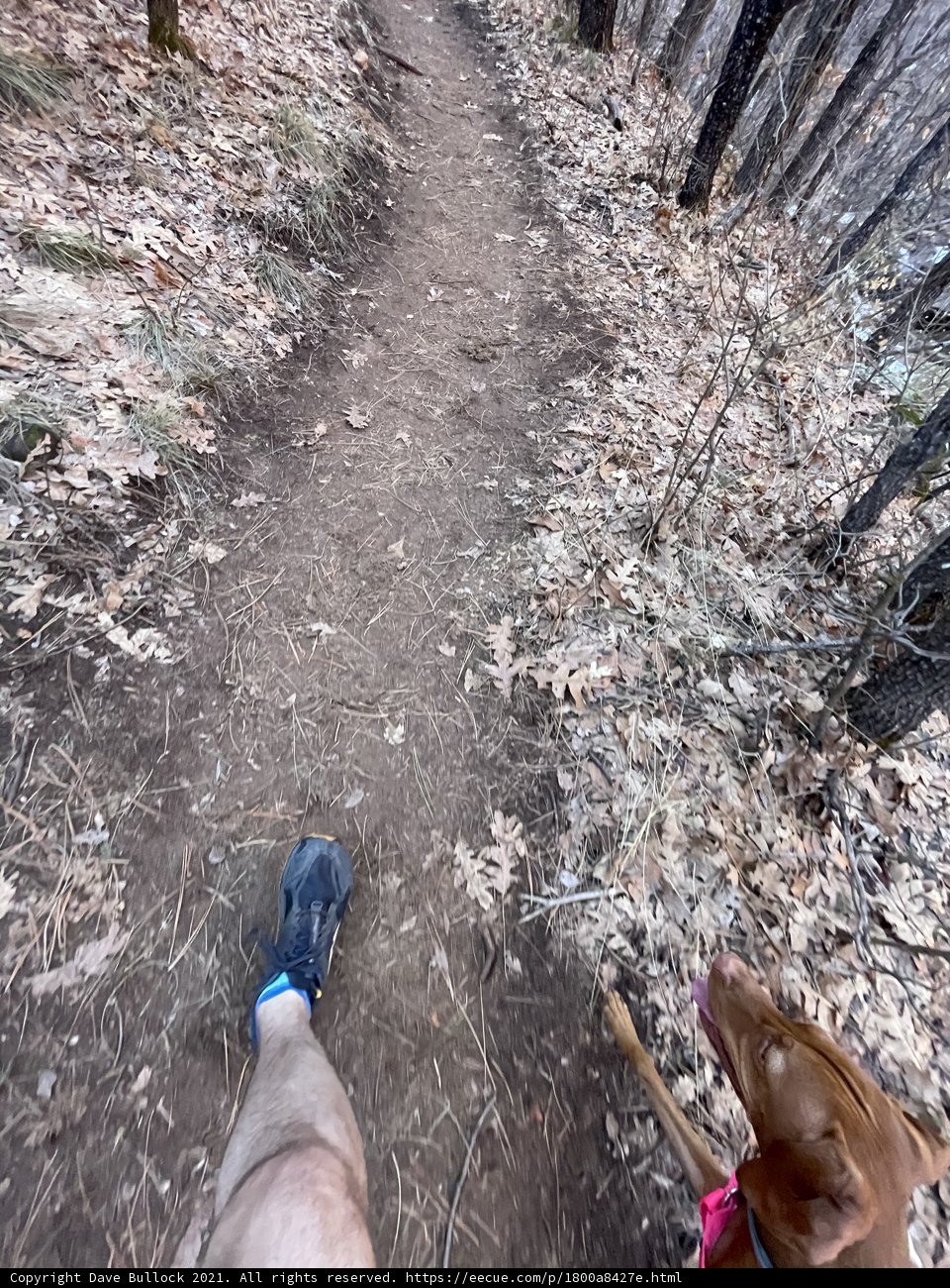 Exploring the Coconino National Forest