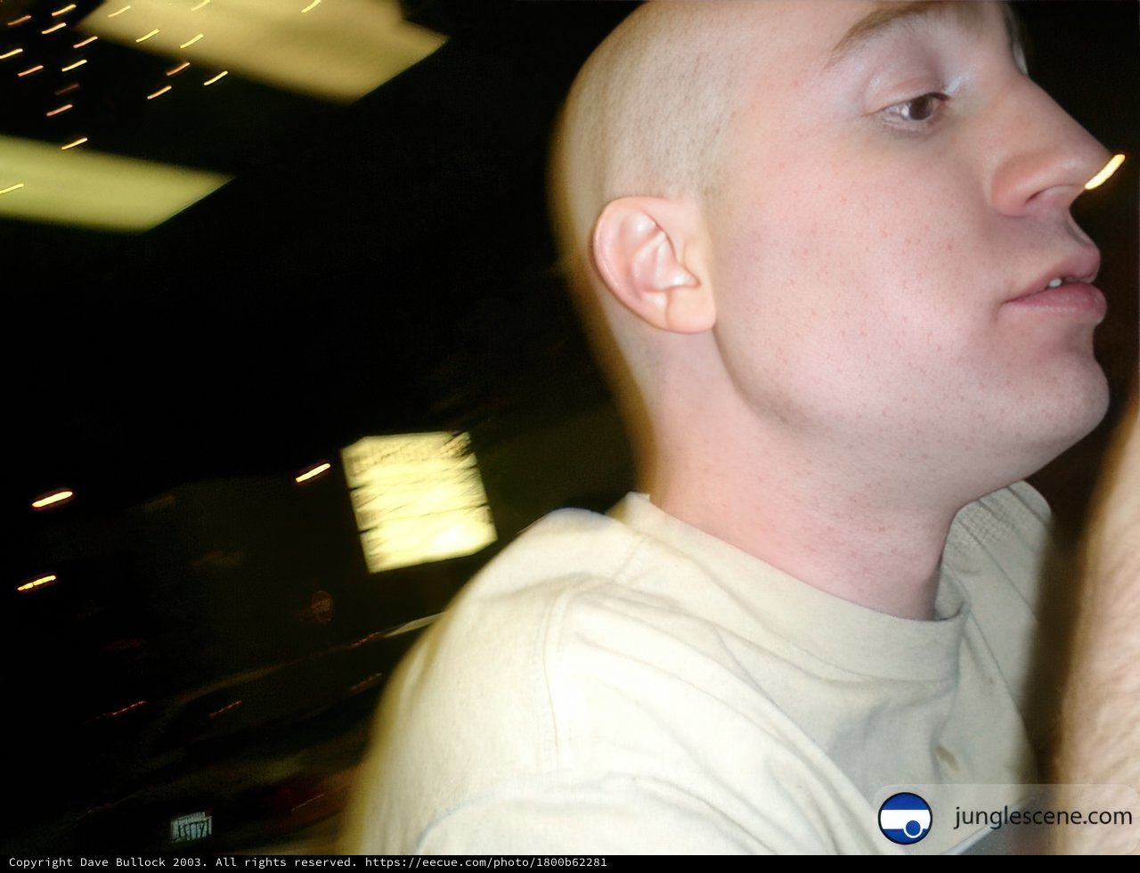 Bald and Bold