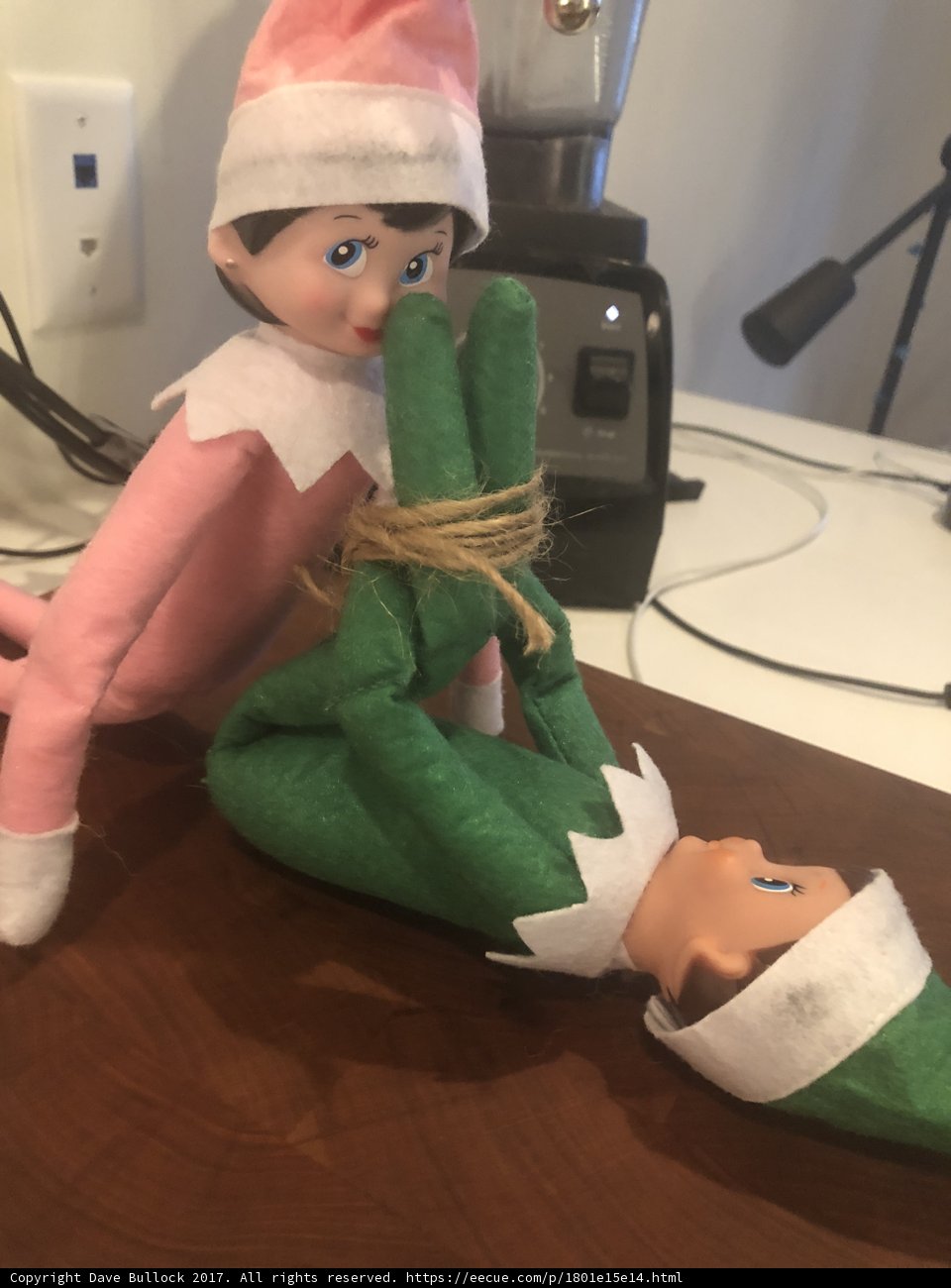 Elf Dolls Take a Winter Break