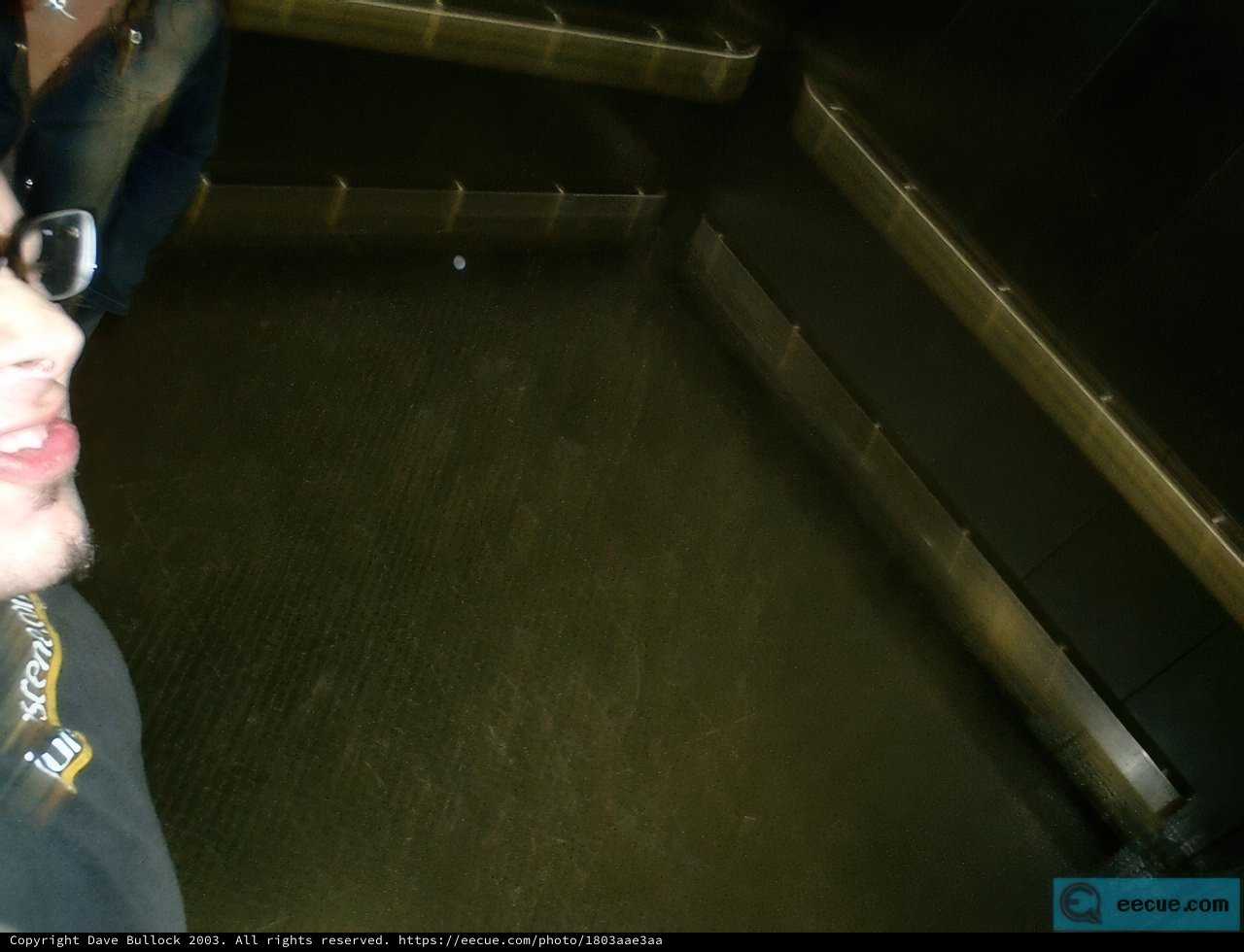 Elevator Reflections