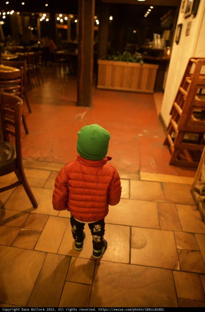 Adventure Ready: Young Explorer in Big Sur