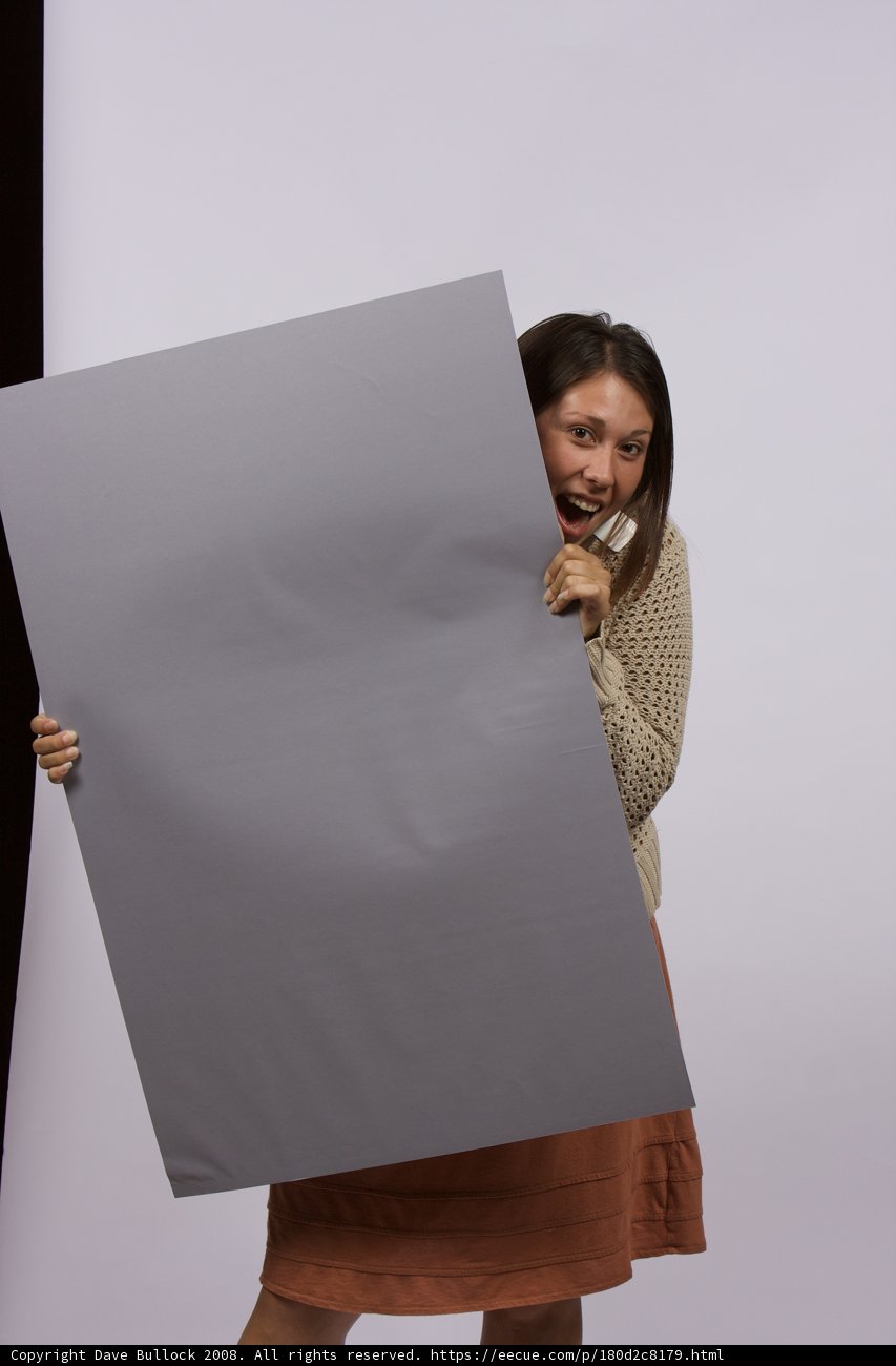 The Blank Slate