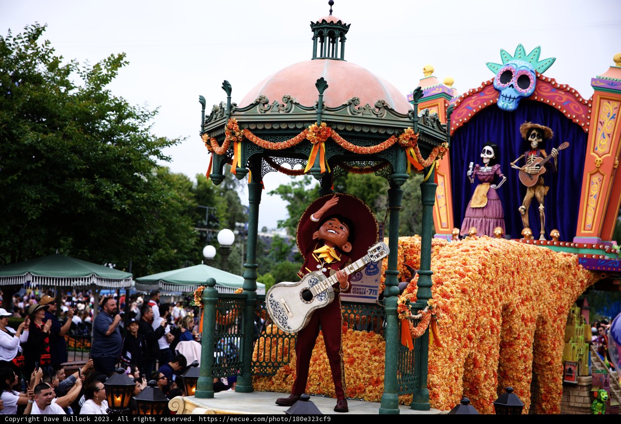 Jamming on the Parade Float