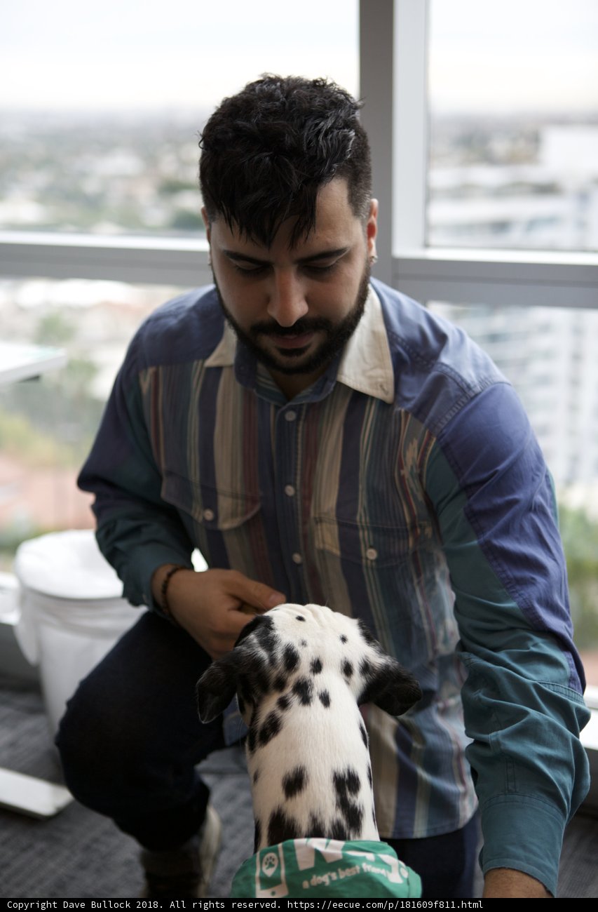 The Bond Between Man and Canine