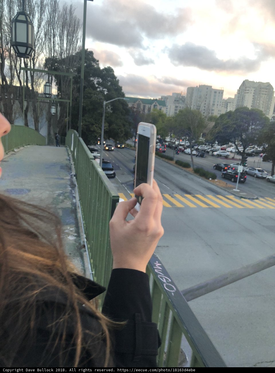 Skater Captured