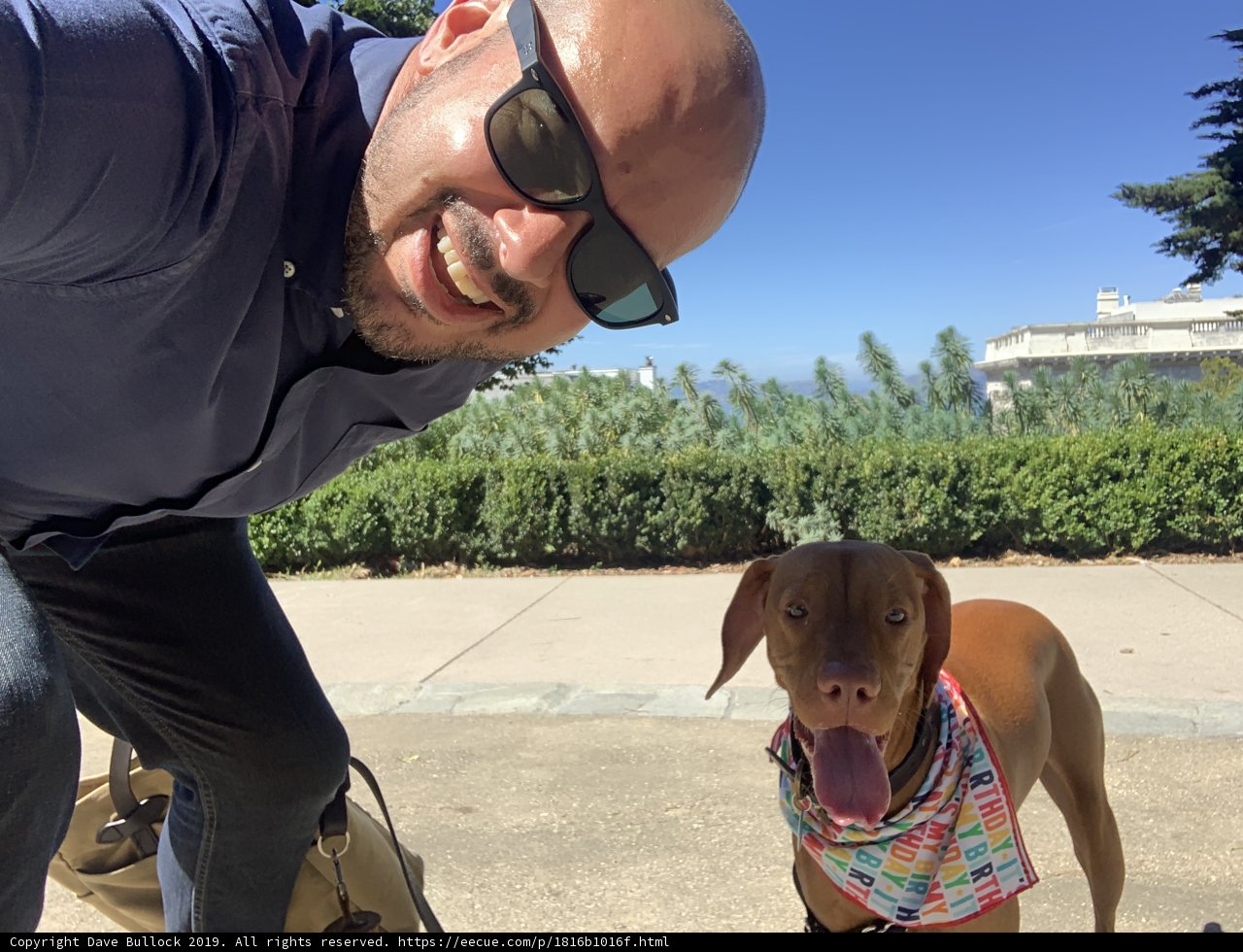 Selfie Time with My Furry Best Friend