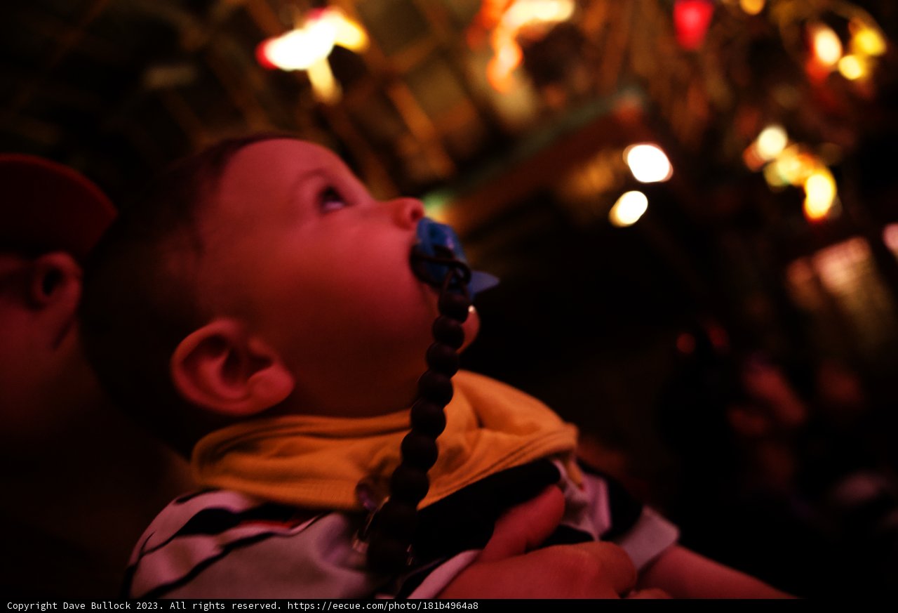 Magical Moments in Disneyland