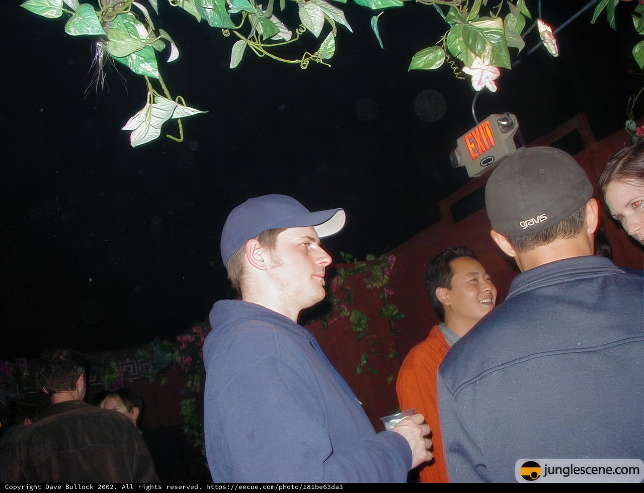 Nightclub Gathering