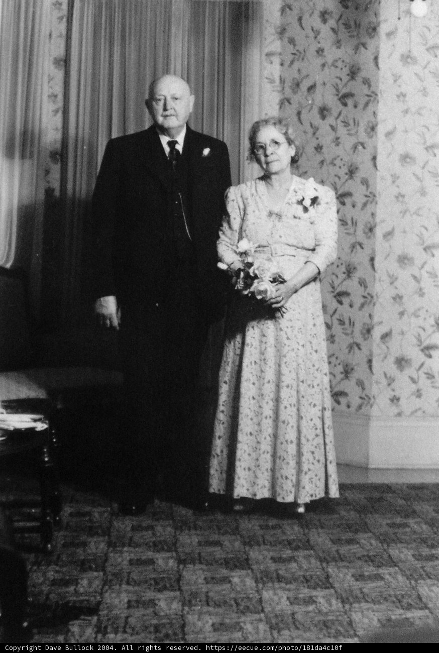 A Vintage Wedding Portrait