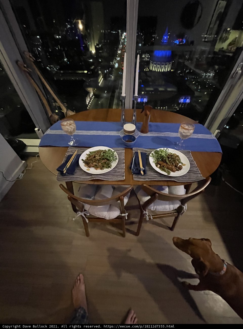 Dining with our Pup