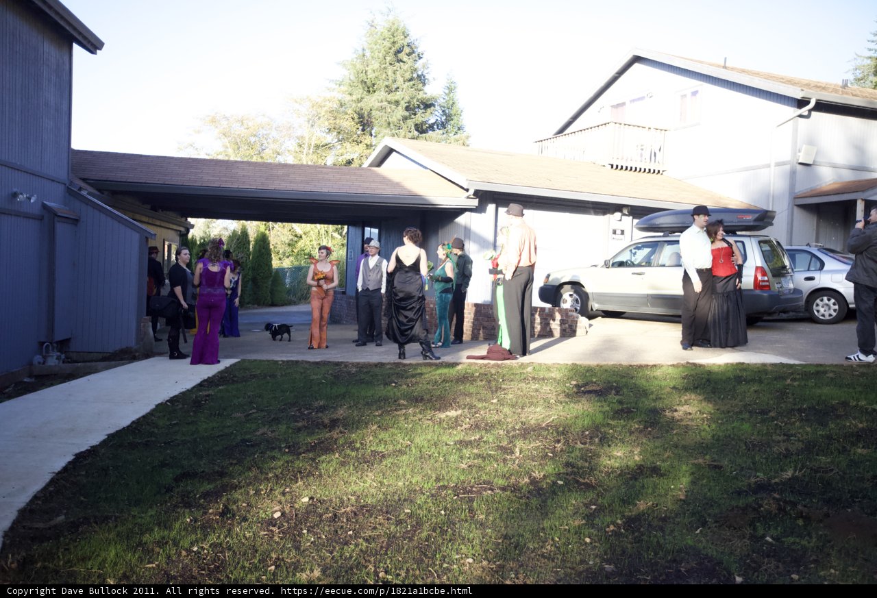 The Wedding Party in Front of Wickstrom House