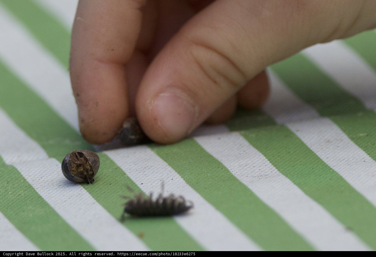 Curious Encounters: A Close-Up Moment