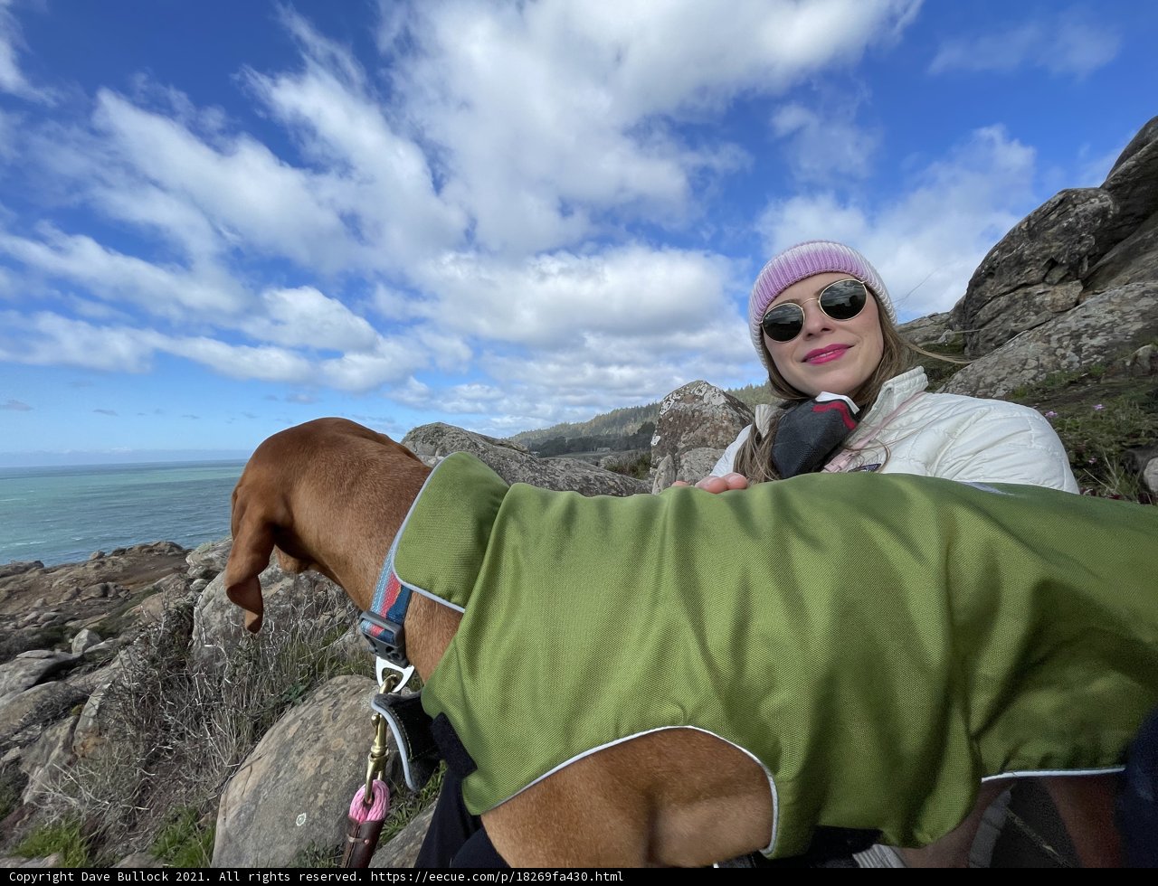Rocky Hill Portrait