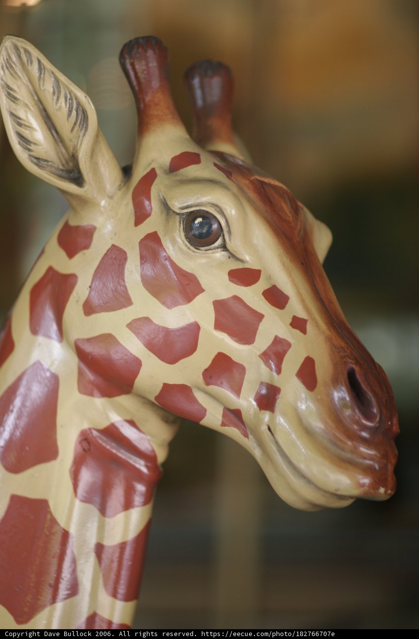 The Giraffe Carousel Ride