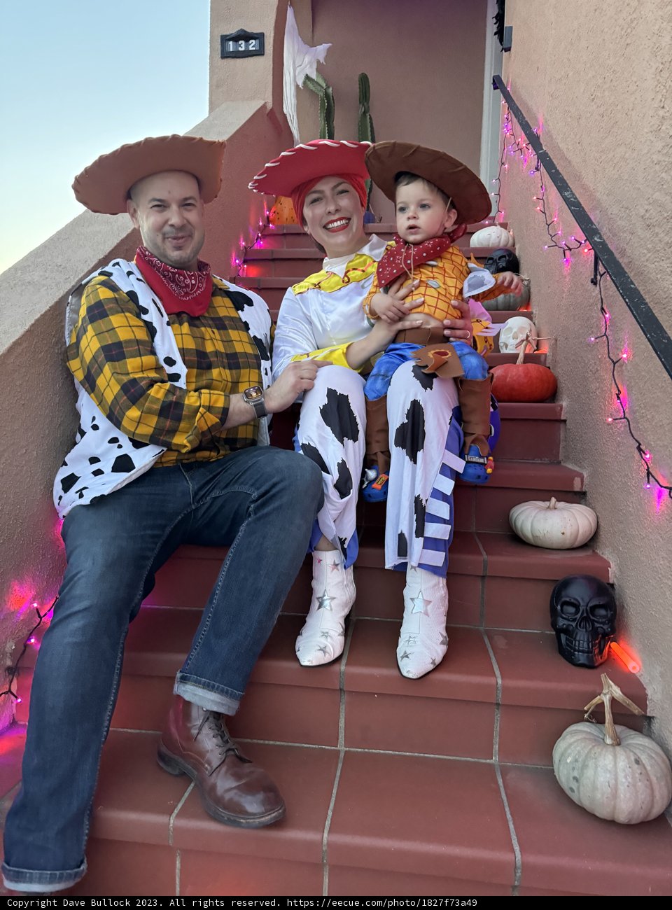 Cowboy Chronicles of Lori and Wesley