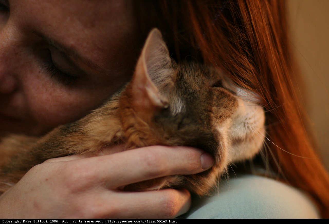 Woman Cuddling with Her Feline Friend