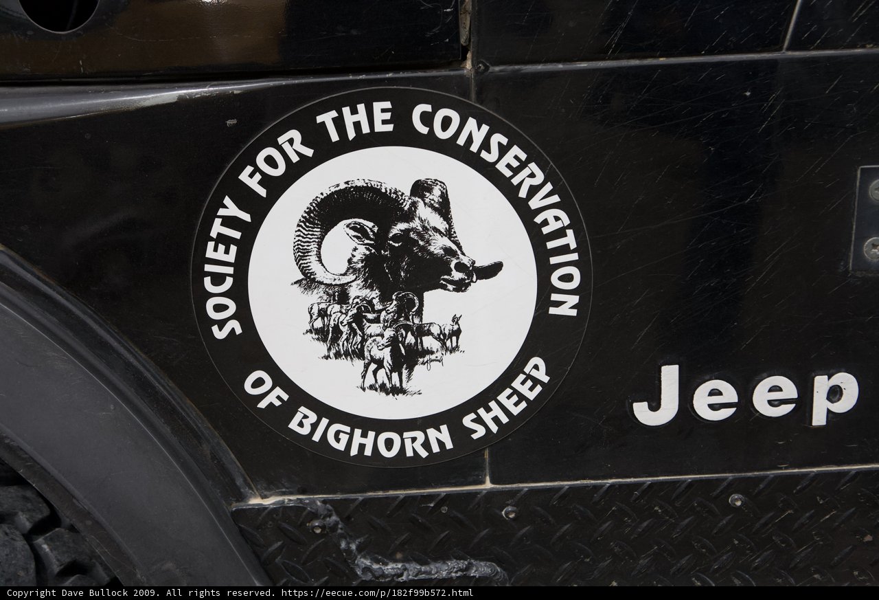 Society for the Conservation of Bighorn Sheep Emblem on Jeep
