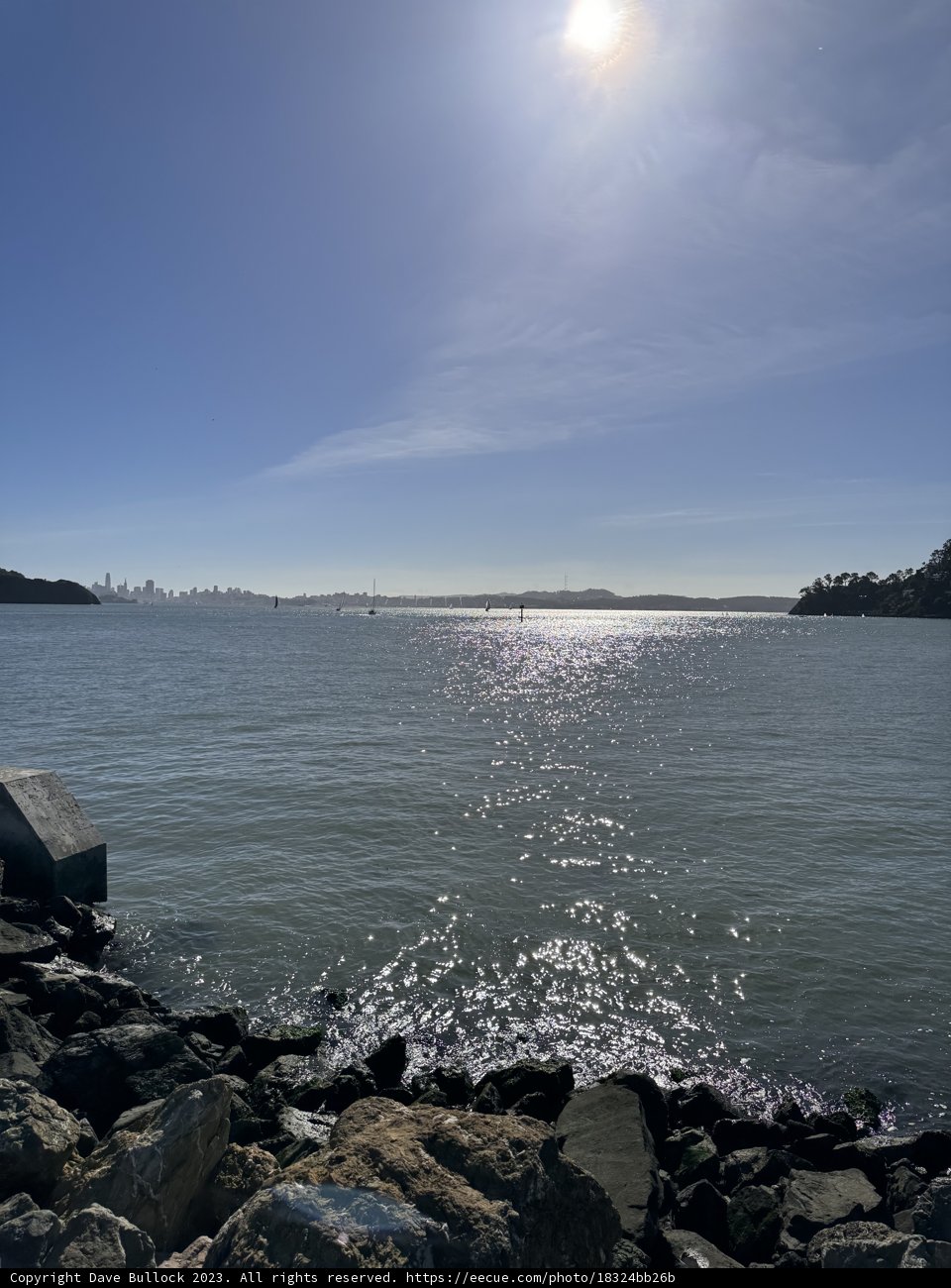 Serenity at Shoreline Park: A November Morning