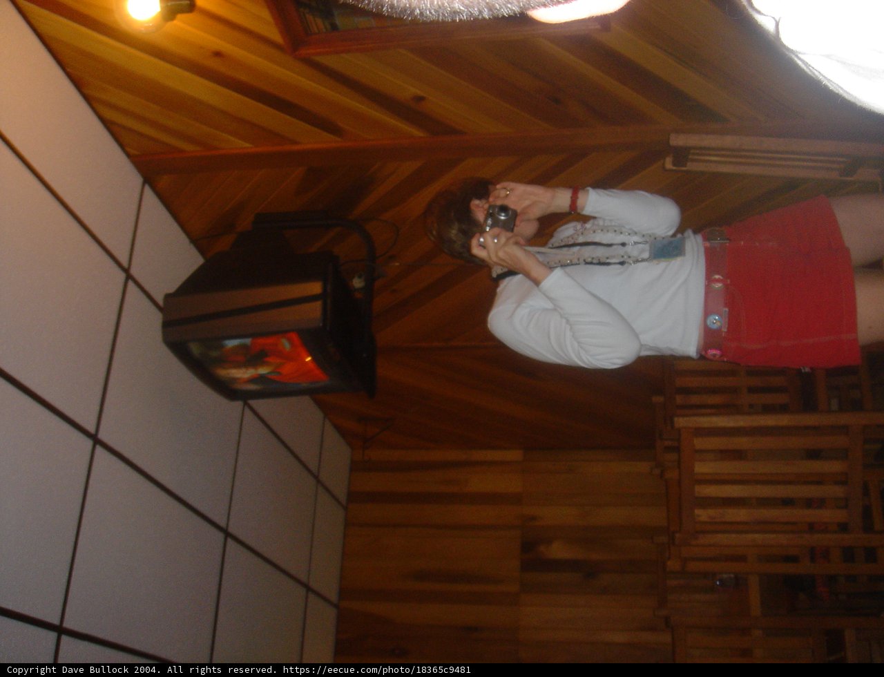 Selfie in a Plywood Room