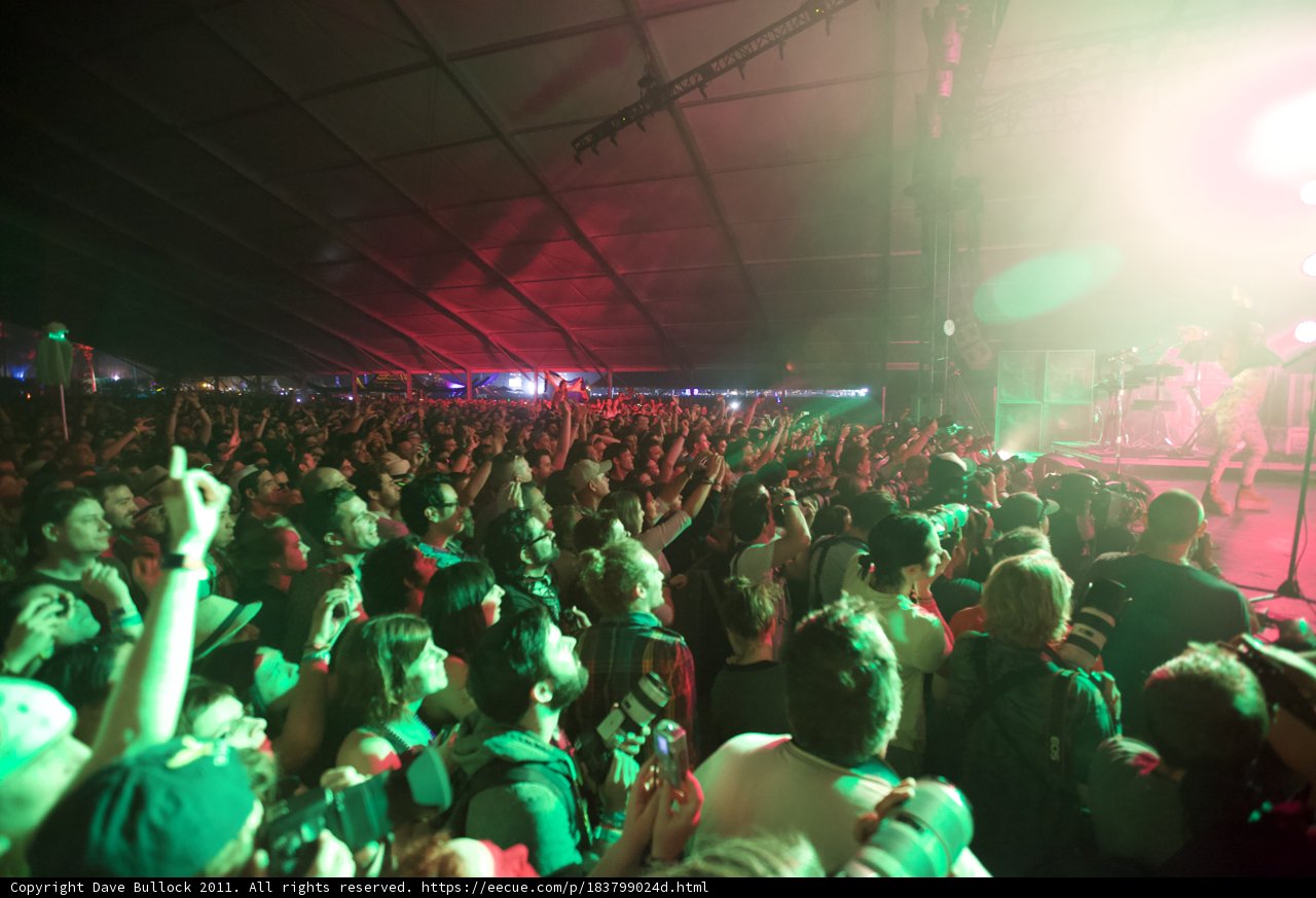 Coachella Concert Fever