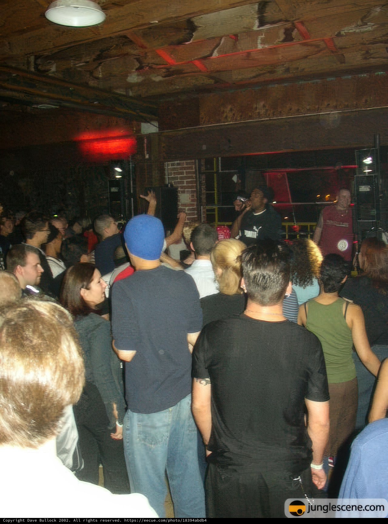 Spotlight on the Night Club Crowd