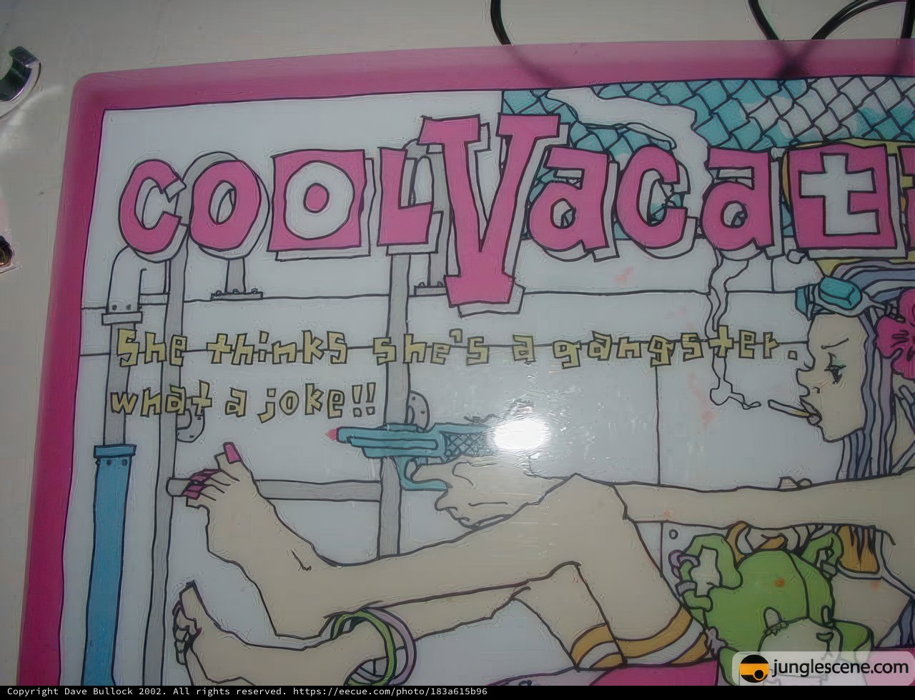 Cool Vaca Sign