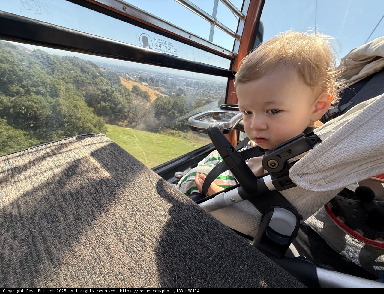 A Day at the Zoo: Capturing Curiosity