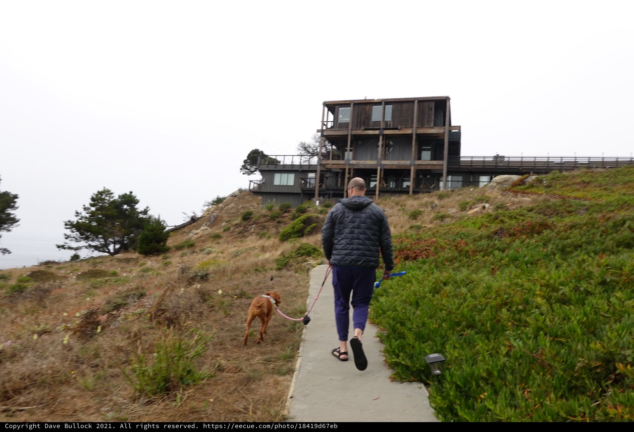 Man Walking Dog on Coastal Trail