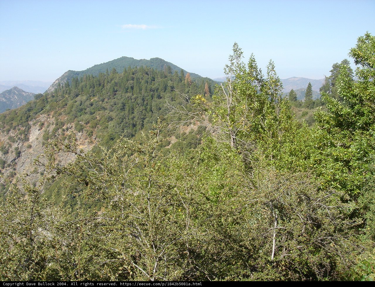 Majestic Mountain Range