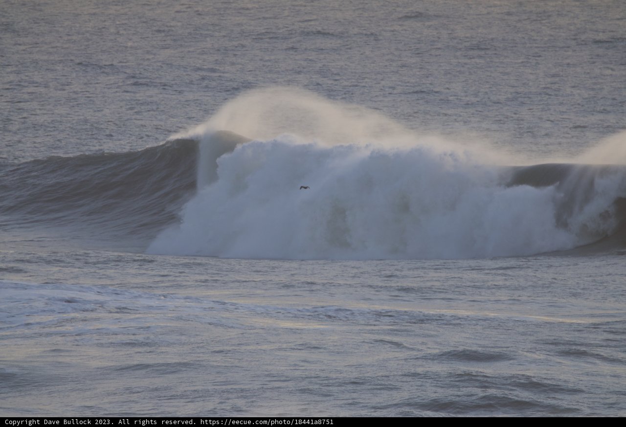 Majestic Wave Crash