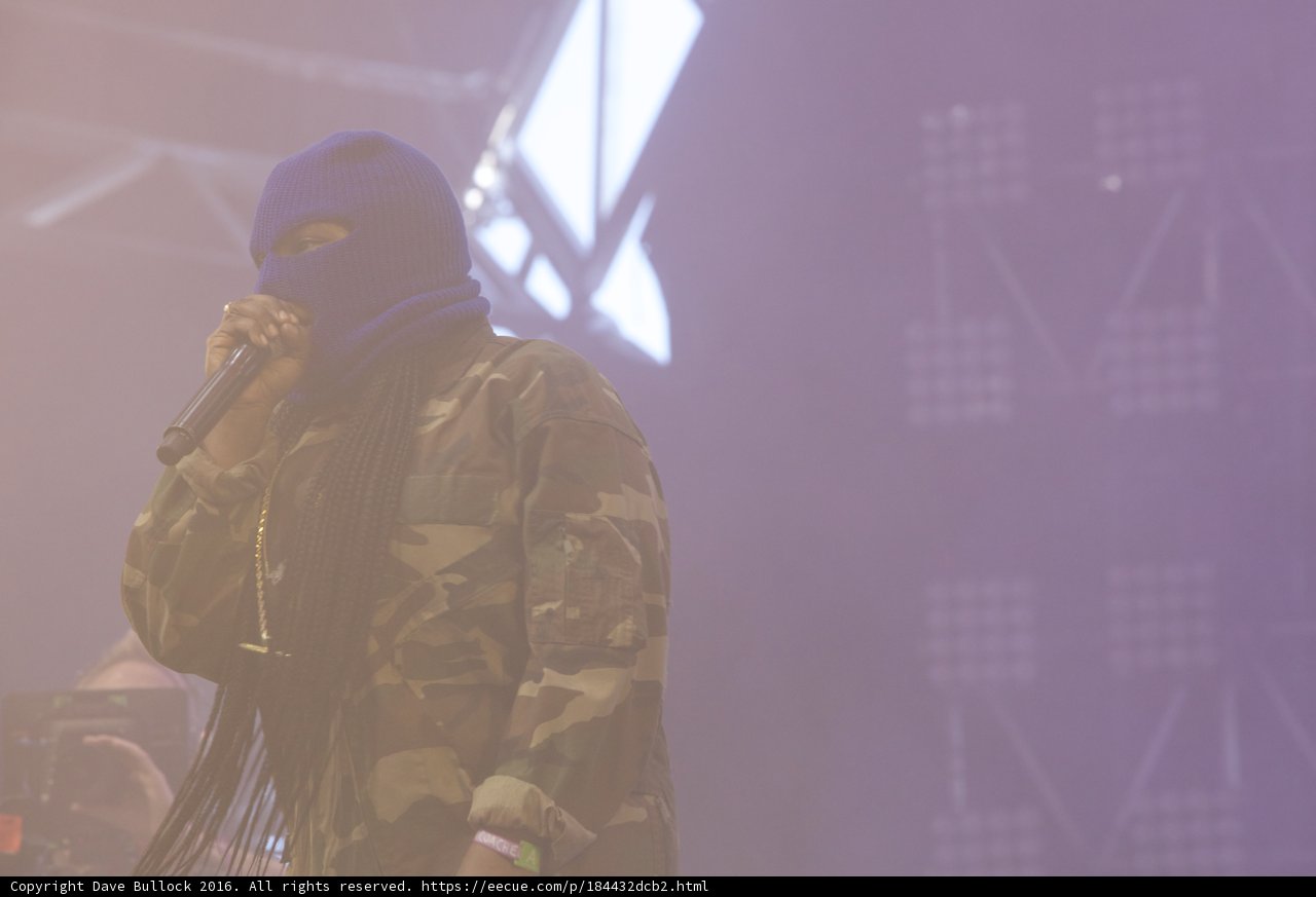 Camouflaged Performer