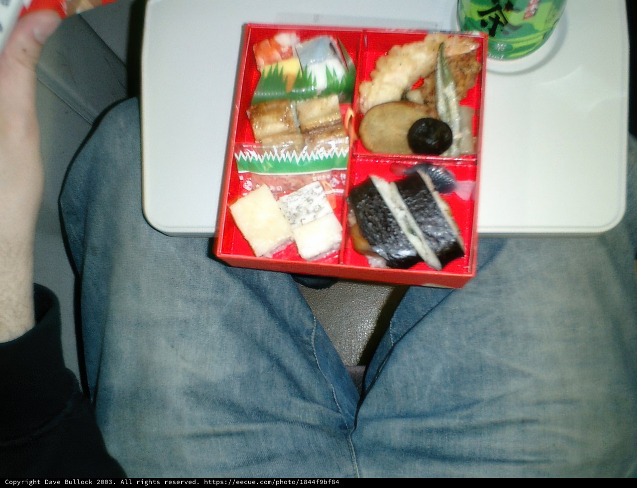 In-Flight Meal on Japan Airline