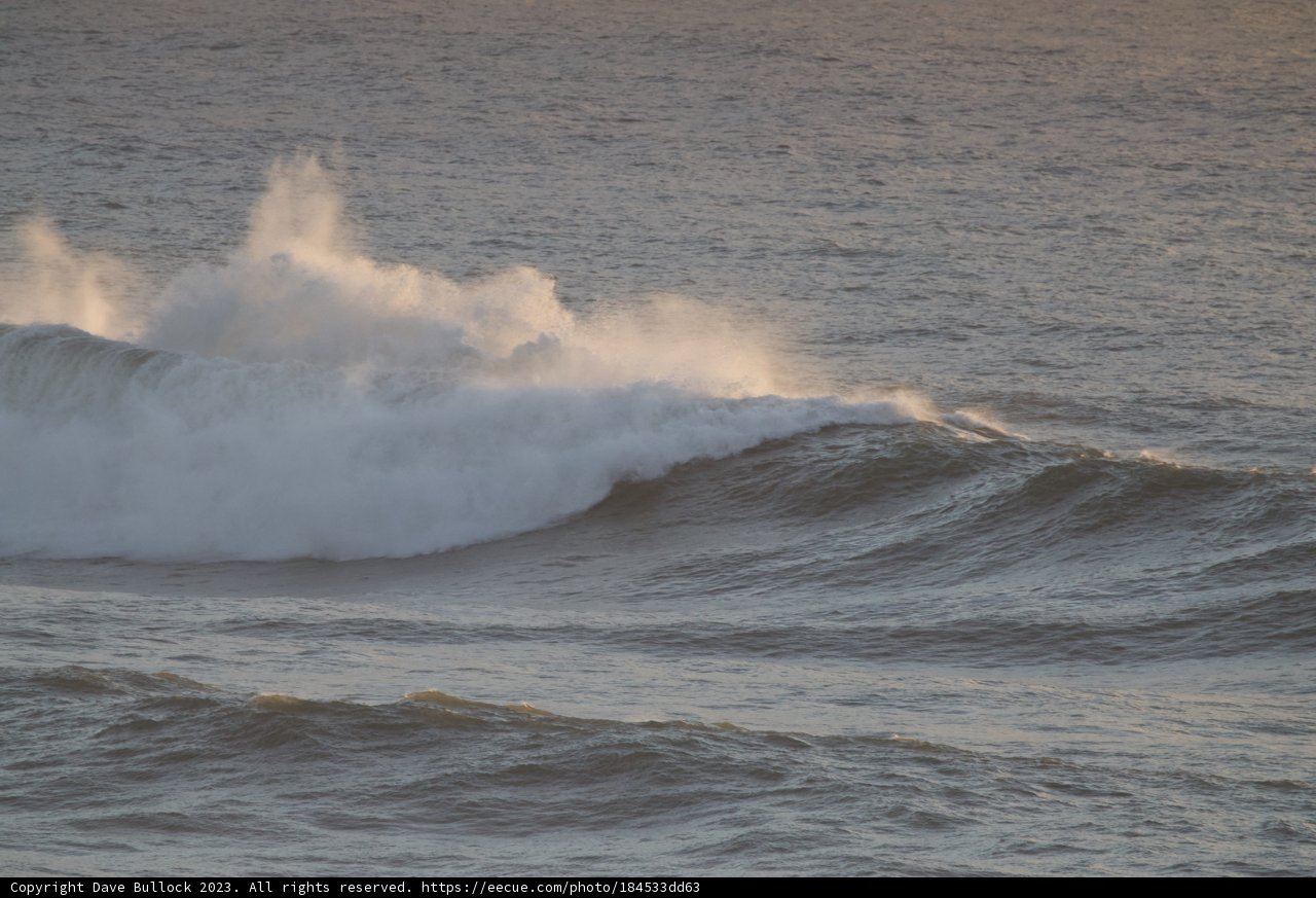 Embracing the Sea Behemoth