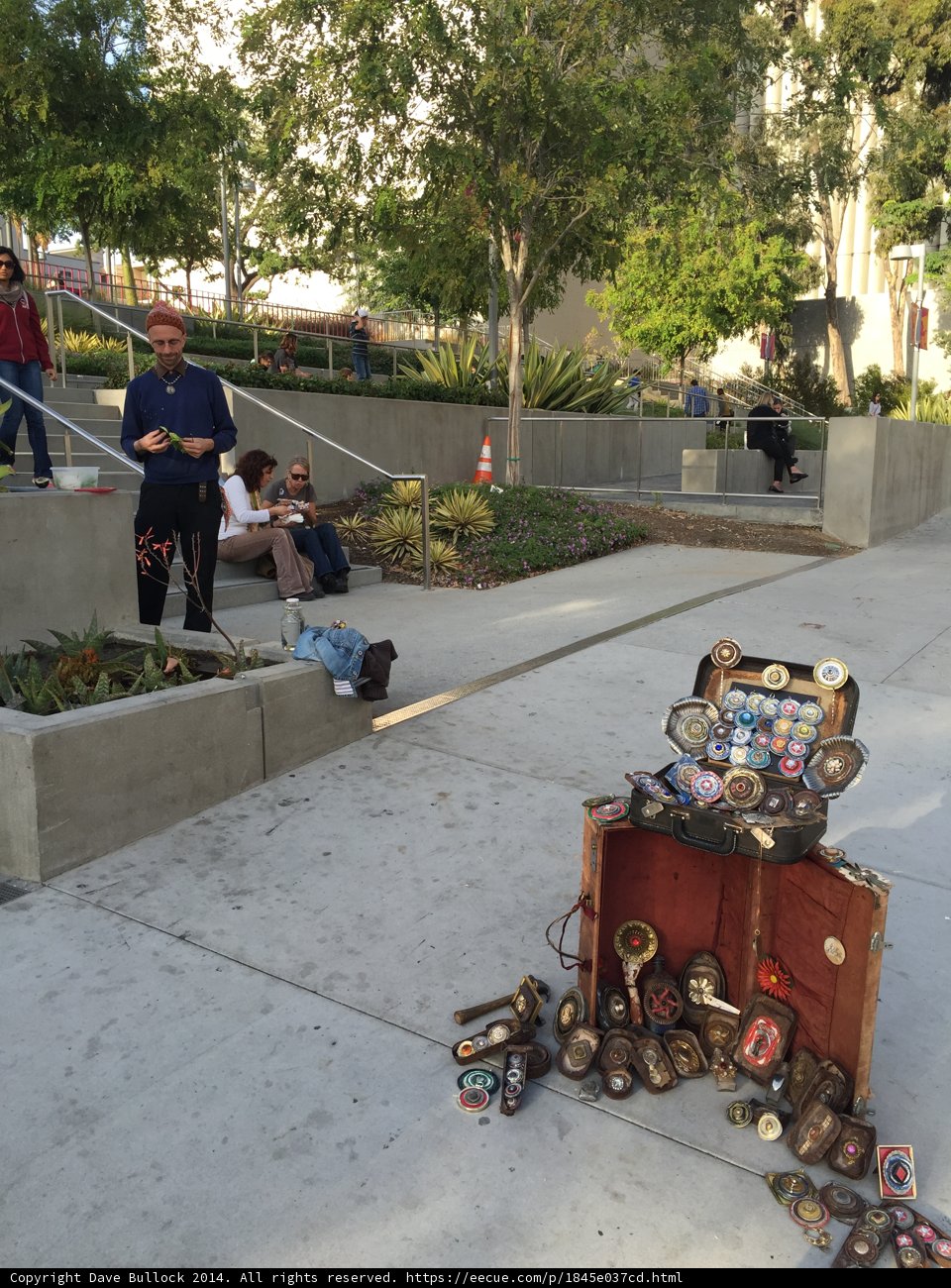 The Coin Collector