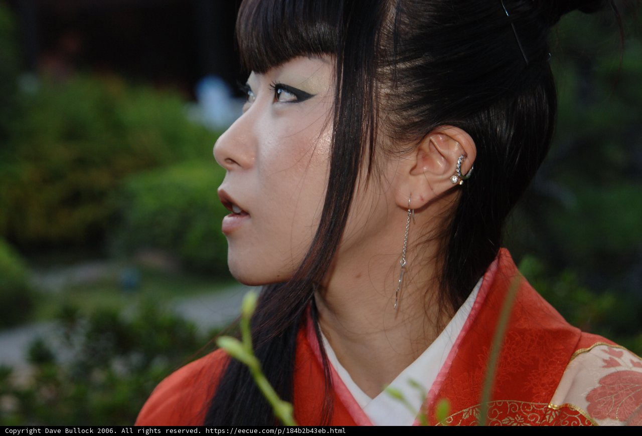 Traditional Attire and Earrings